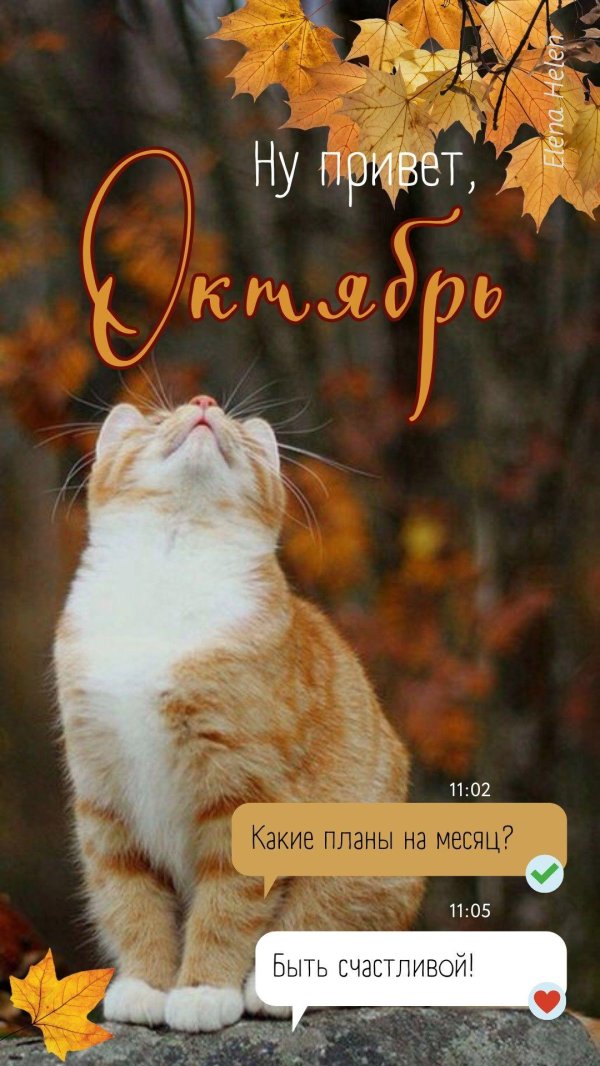 октябрь привет