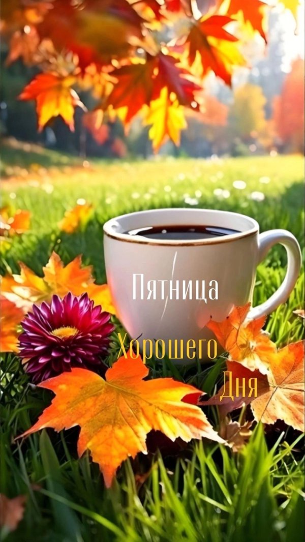 доброго осеннего утра пятницы