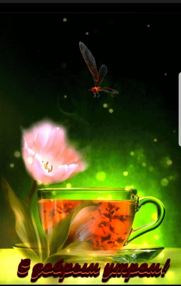 добра утра