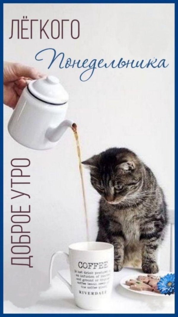 с добрым утром понедельник