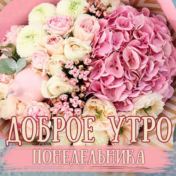 открытки с добрым понедельником