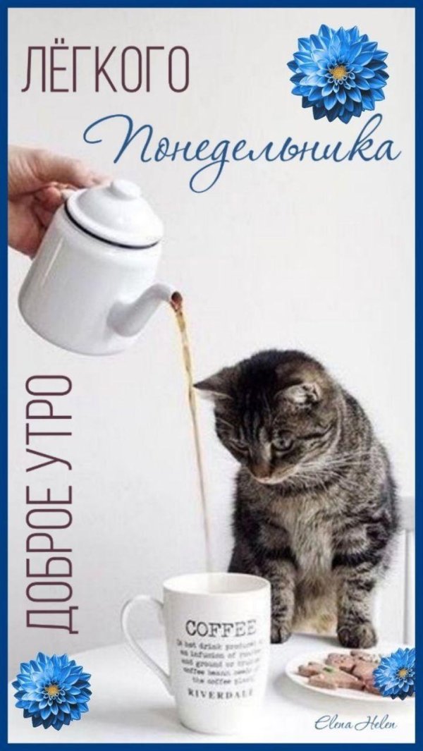 понедельник доброго утра