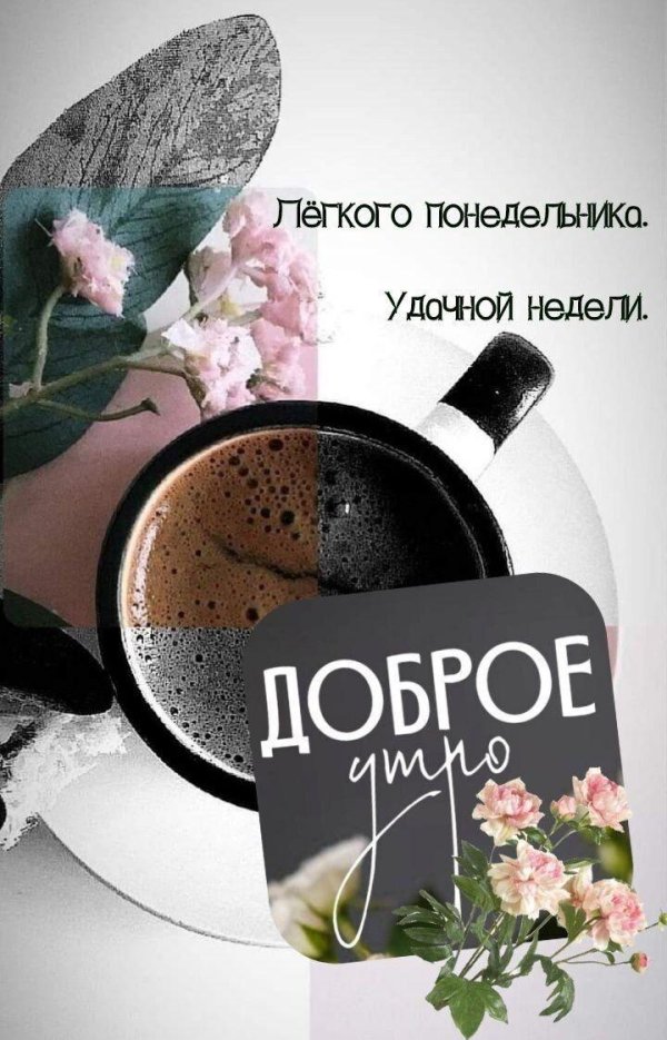 легкого понедельника удачной недели