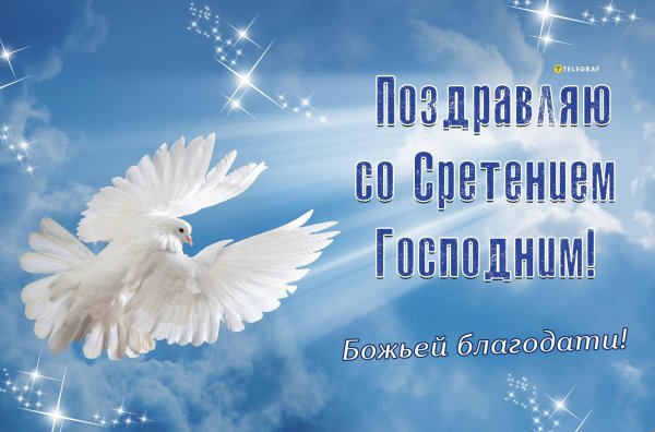 небо голуби