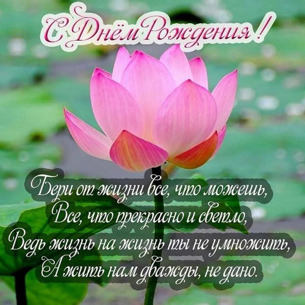 лотус фловер