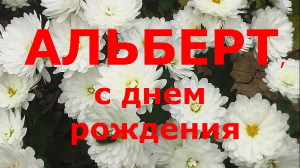 с днём рождения альберт картинки