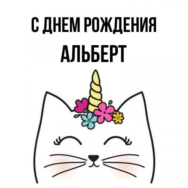 поздравление с днём рождения альберт