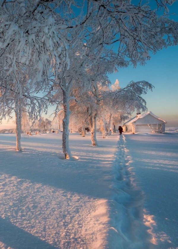 зимняя природа