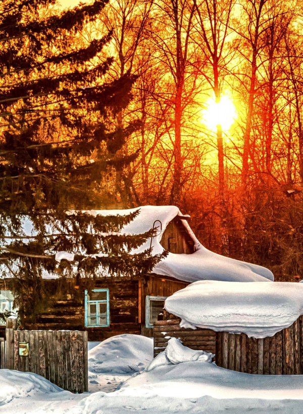 домик в зимнем лесу