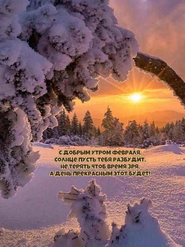 природа зимой