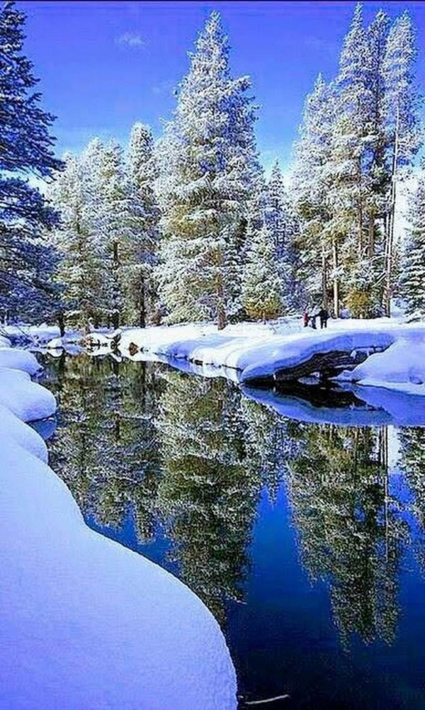 природа зимой