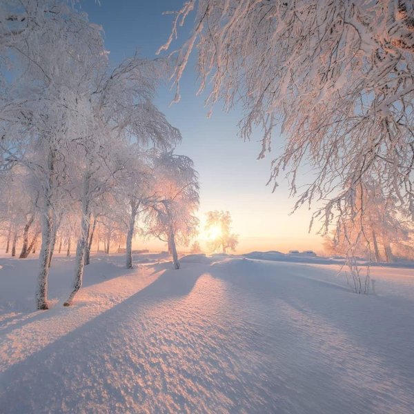 зимний рассвет