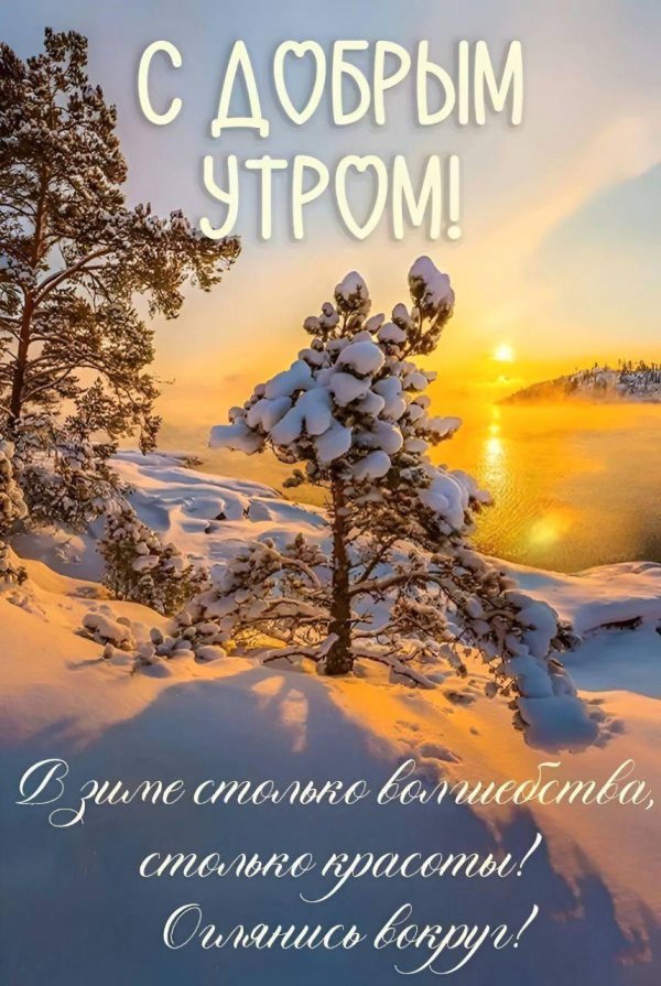 добрая зимнее утро