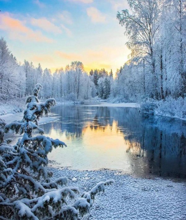 зимняя природа