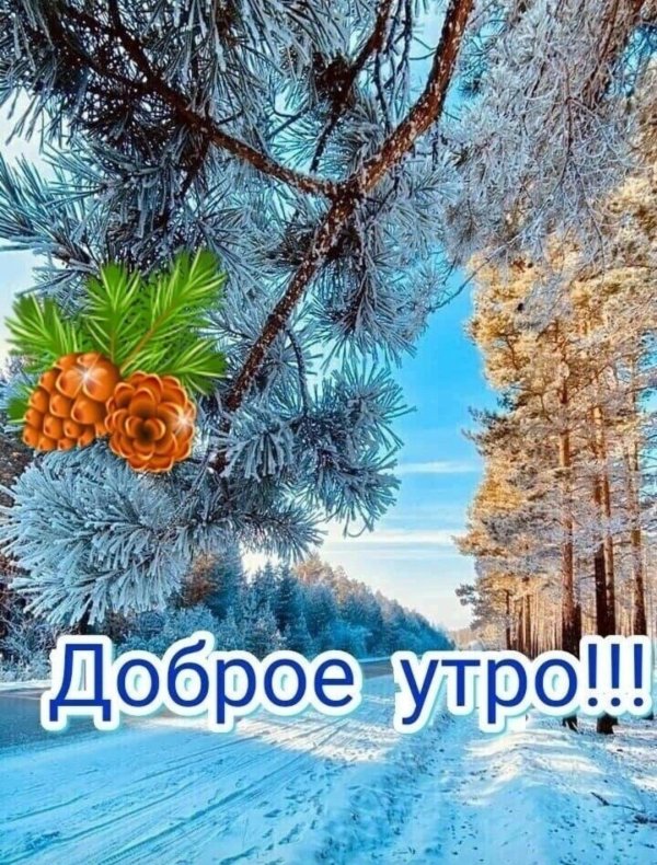 доброе зимнее утро природа