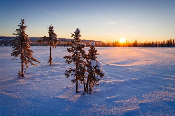 рассвет зимой