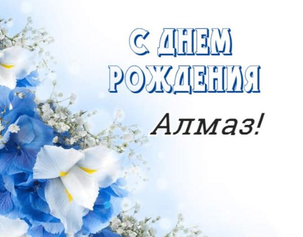 бело голубые цветы