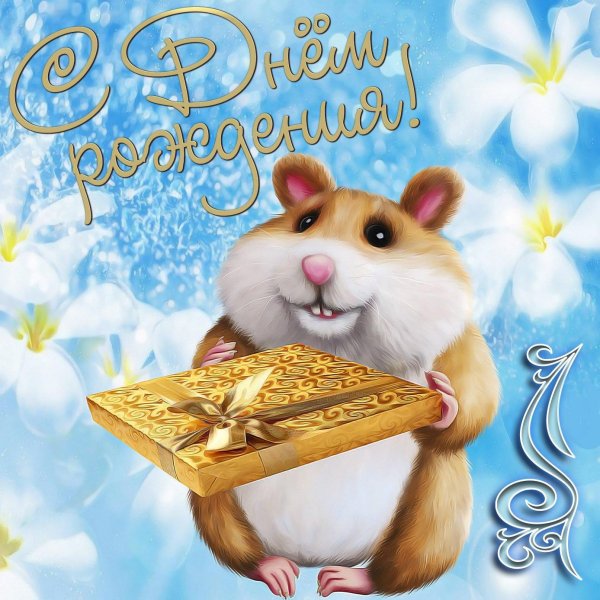 хамстер хомяк