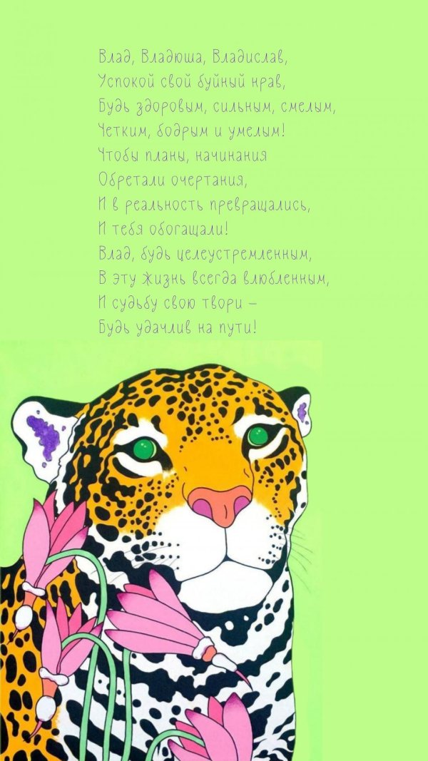 картины животные