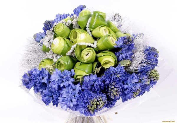 гиацинт букет