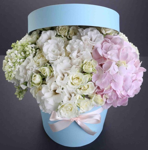 коробки с гортензией