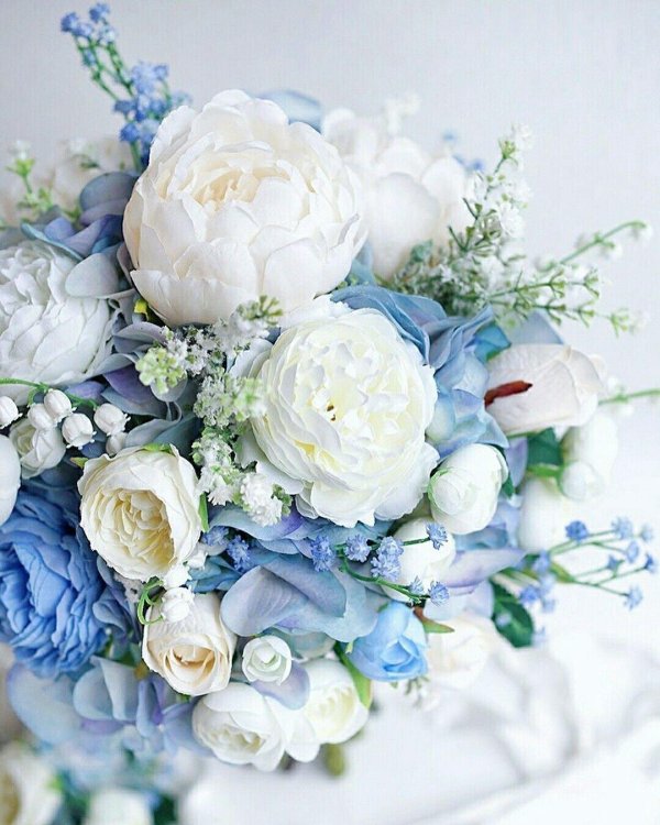 Гортензии с днем рождения