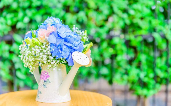 гортензия зеленая