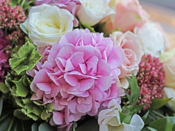 гортензии букет