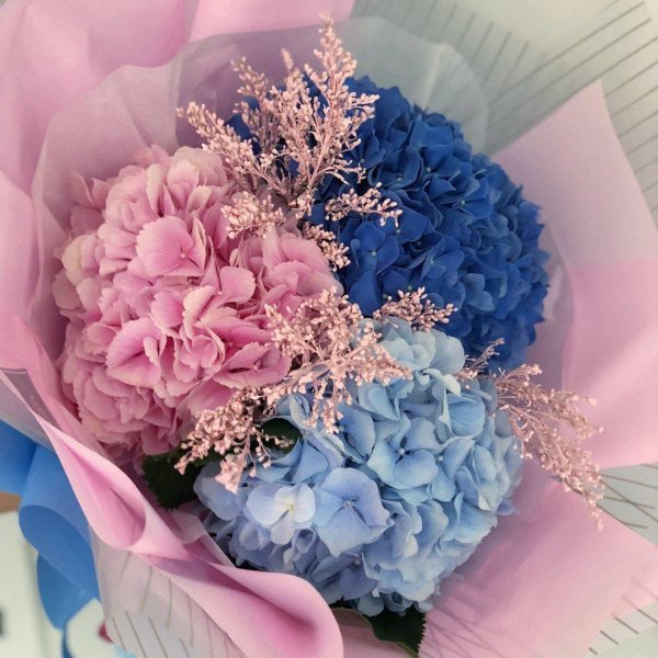 монобукет  гортензии