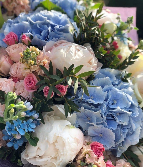 пионы и гортензии