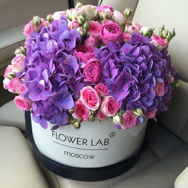 flower lab bryansk