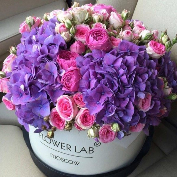цветы в коробке