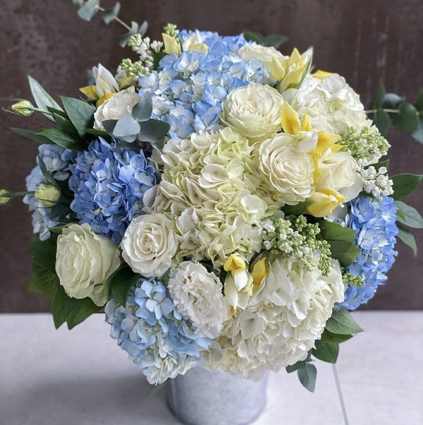 гортензия лизиантус