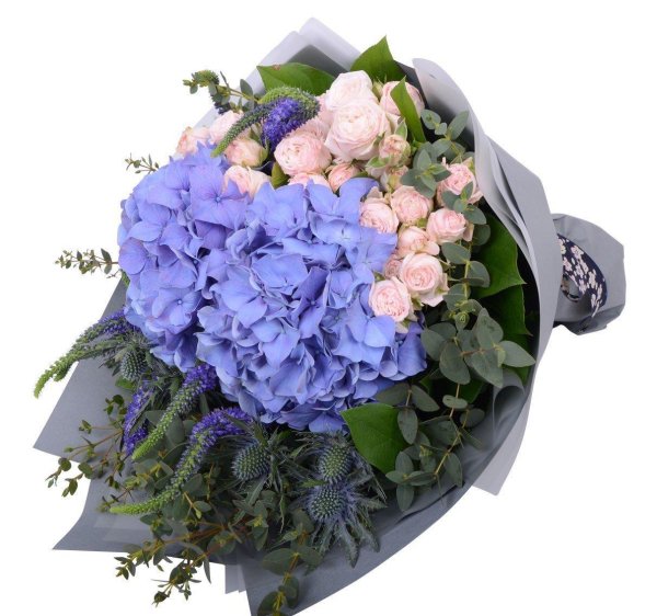 гортензия кустовая роза буке