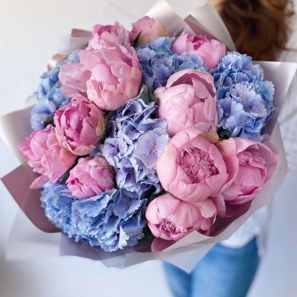 гортензии и пионы