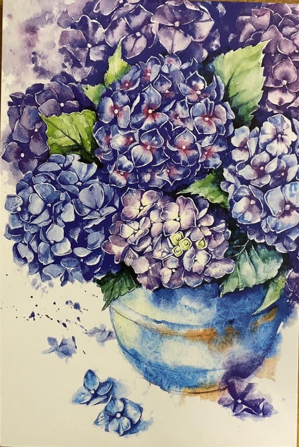 гортензия скетчинг