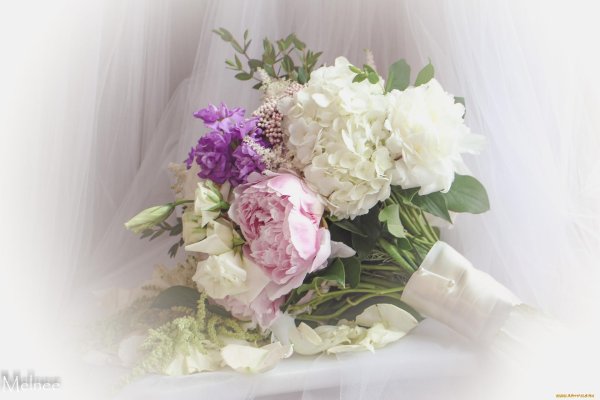 нежные букеты цветов