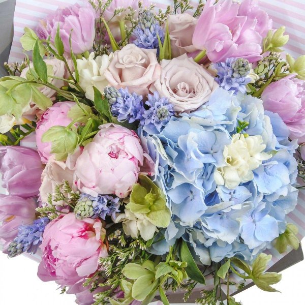 пионы и гортензии