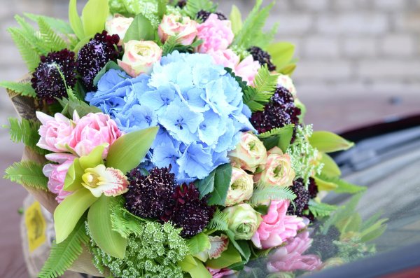 красивый букет гортензий