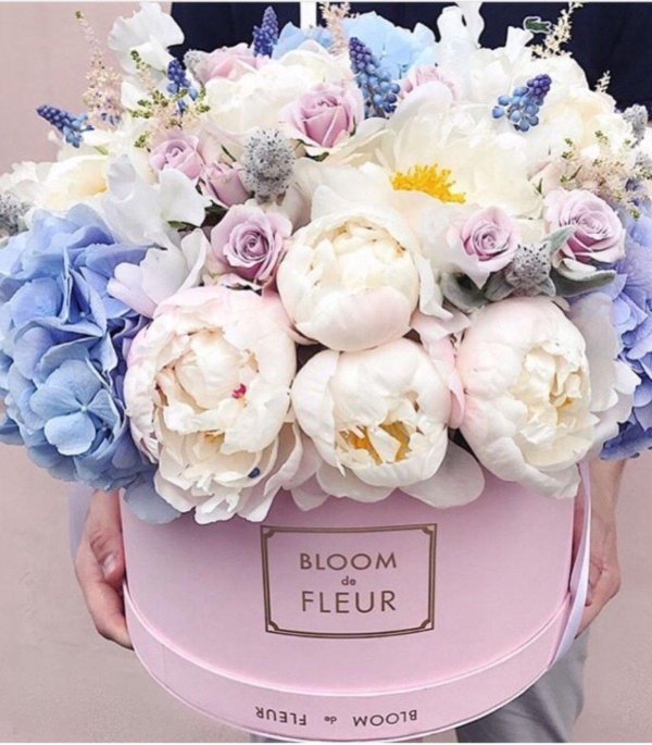 bloom de fleur
