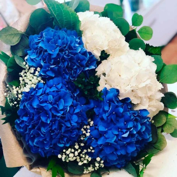 монобукет  гортензии