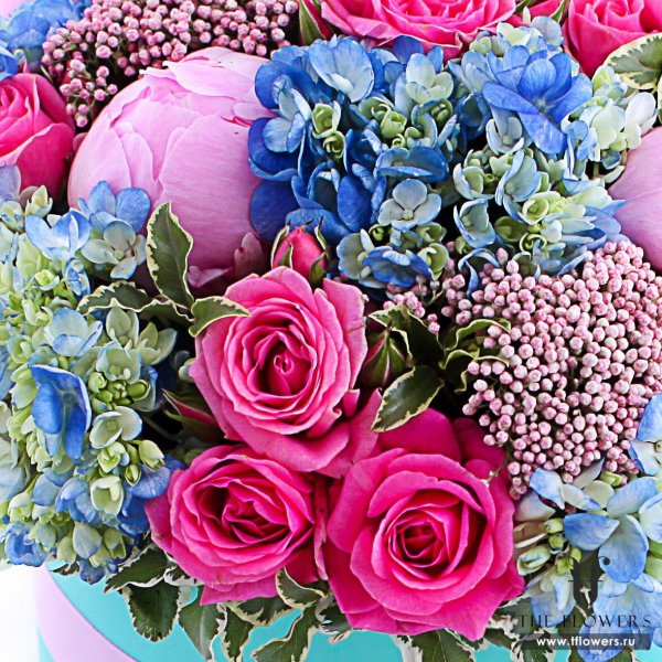 пионы тиффани