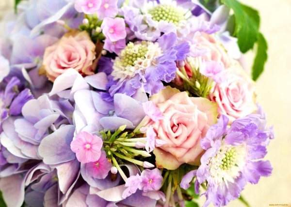 нежные букеты