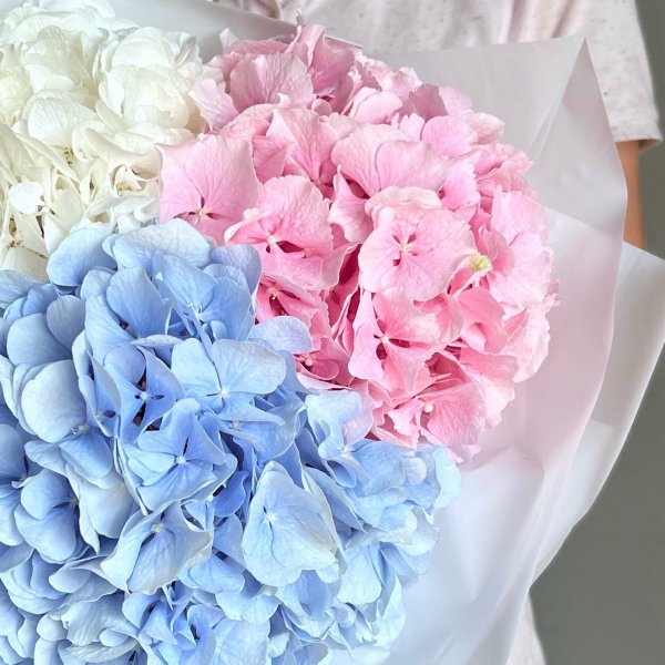 монобукет  гортензии