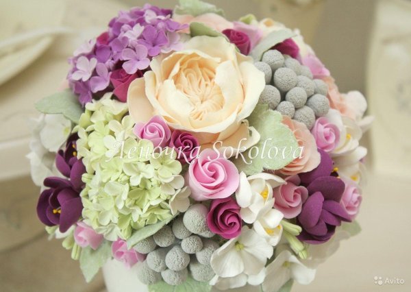 гортензия виола фрезия