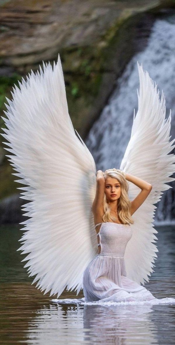 энджел уайт ангел