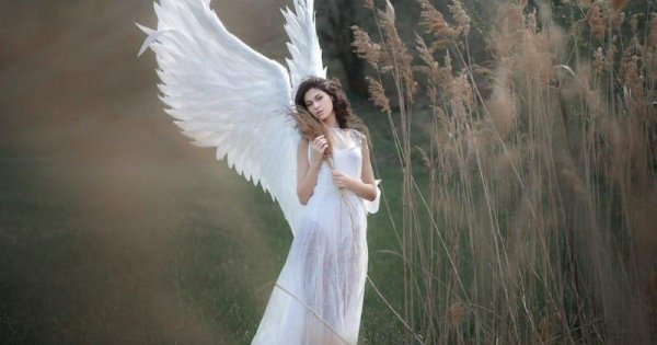 большие ангельские крылья