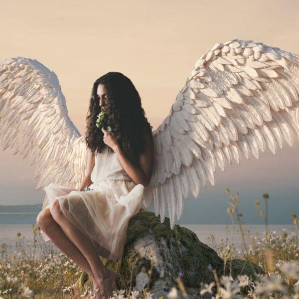 девушки ангелы