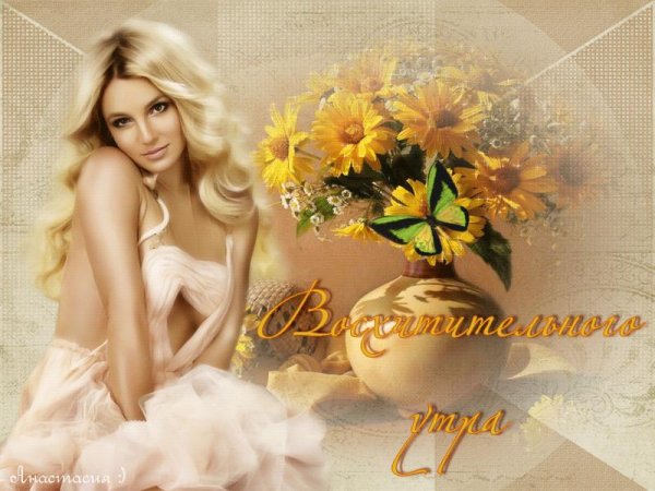 красавица открытка