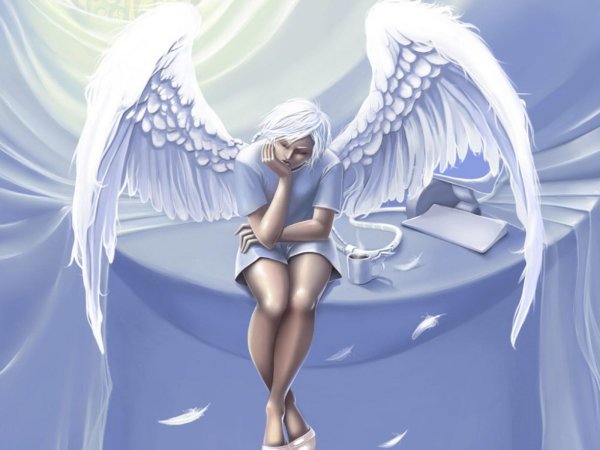 красивые ангелы